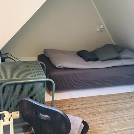 Pansiyon Med Private Vaerelser Og Delt Kokken/badrum, Sj